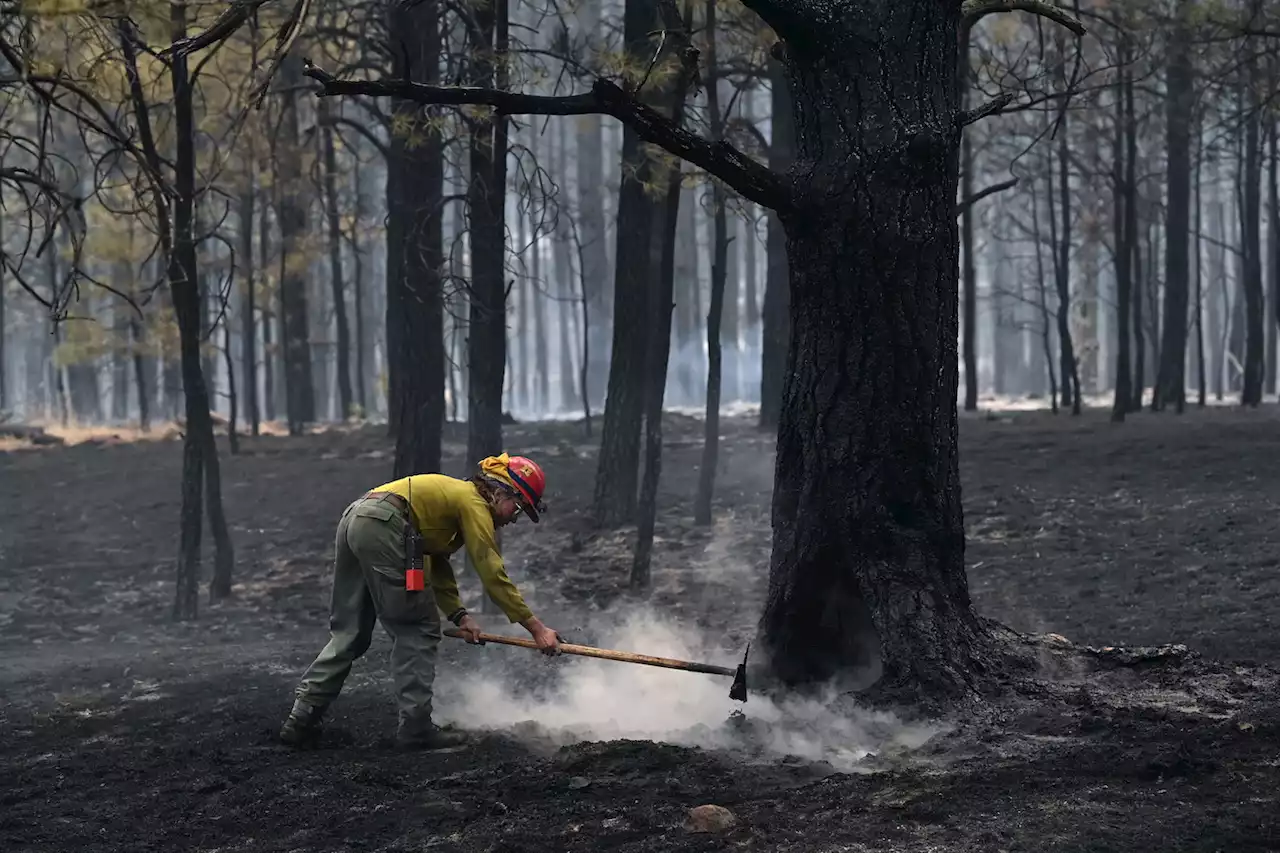 New Mexico blaze is now largest wildfire in state history