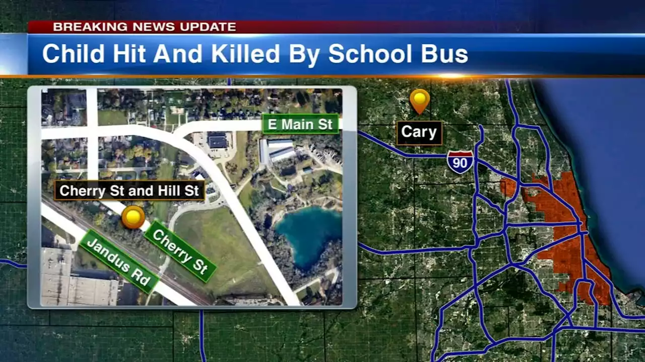 Boy, 3, killed after being hit by school bus in Cary