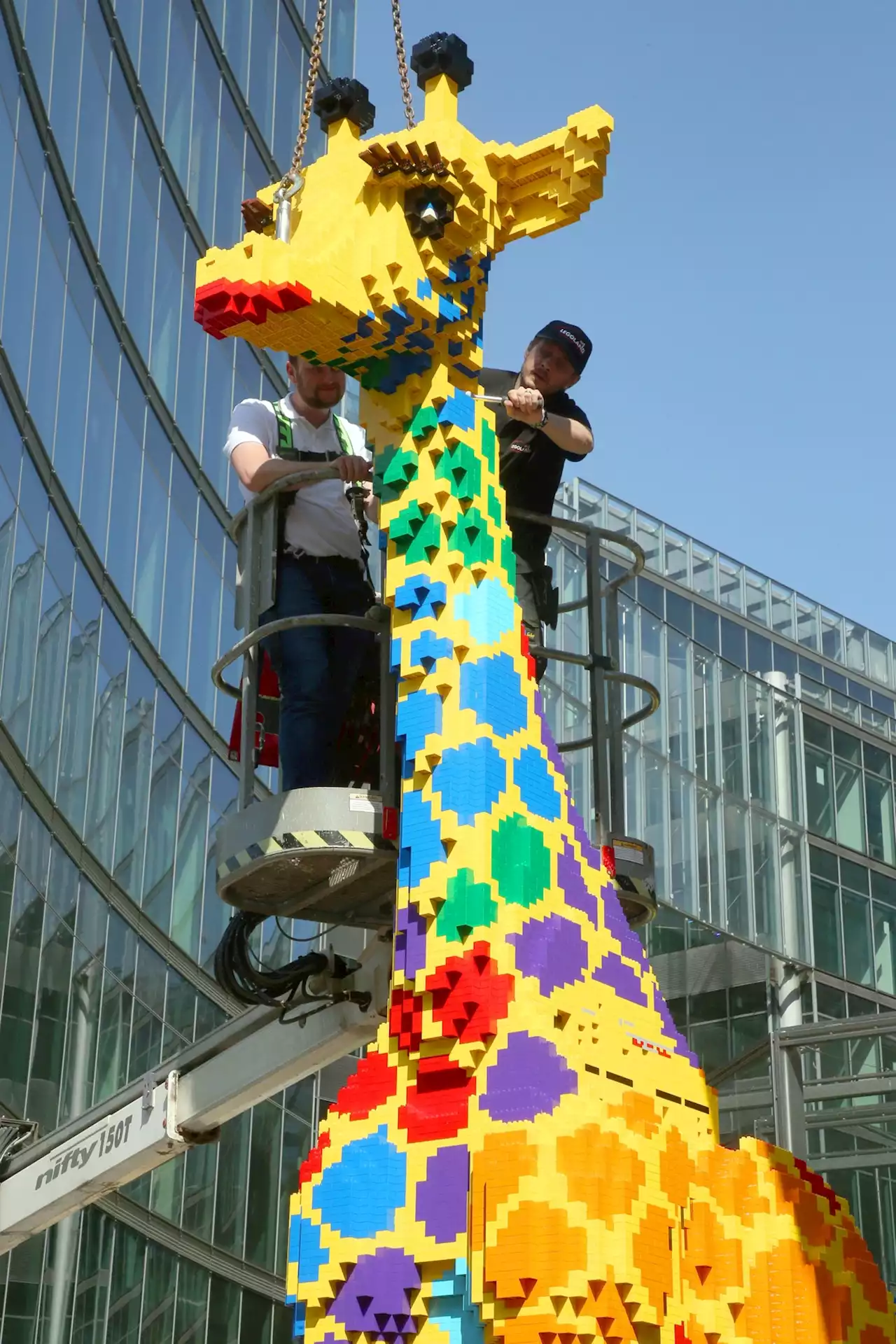 Sechs Meter hoch: Potsdamer Platz hat eine neue Giraffe