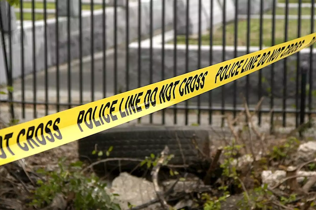 More than 400 mass shootings occurred in WC since 2019
