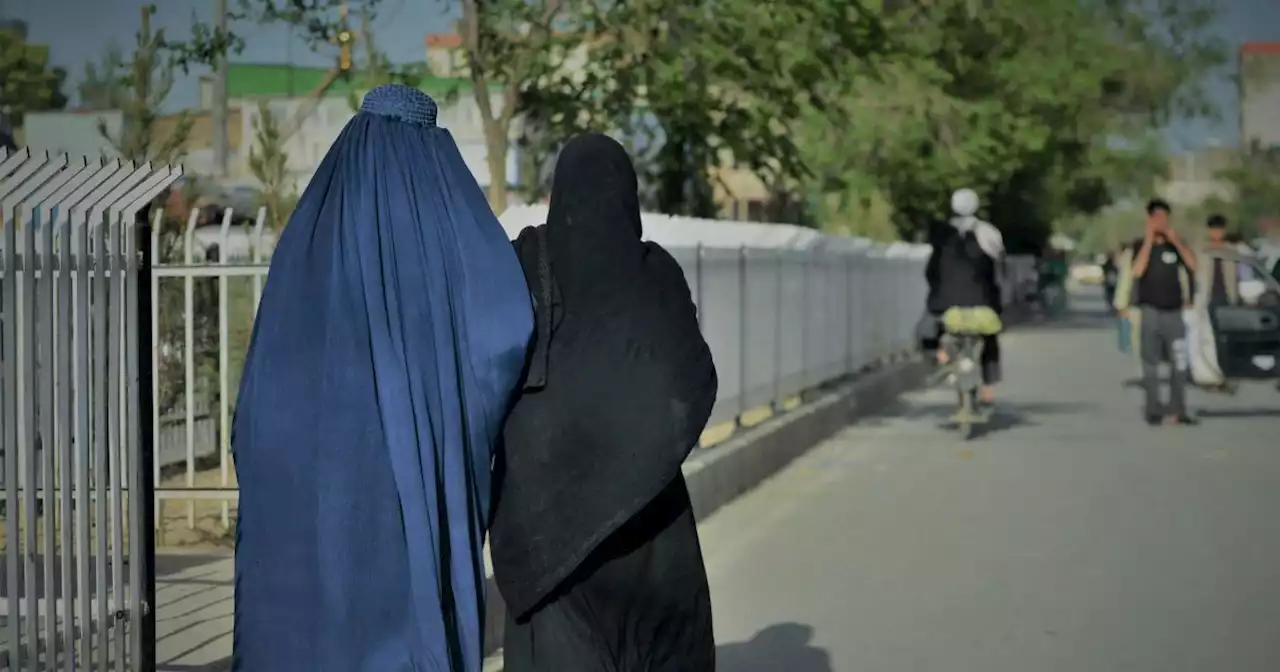 Students say Taliban blocked them from college for wearing wrong color hijabs as Afghan women see their rights fade to black