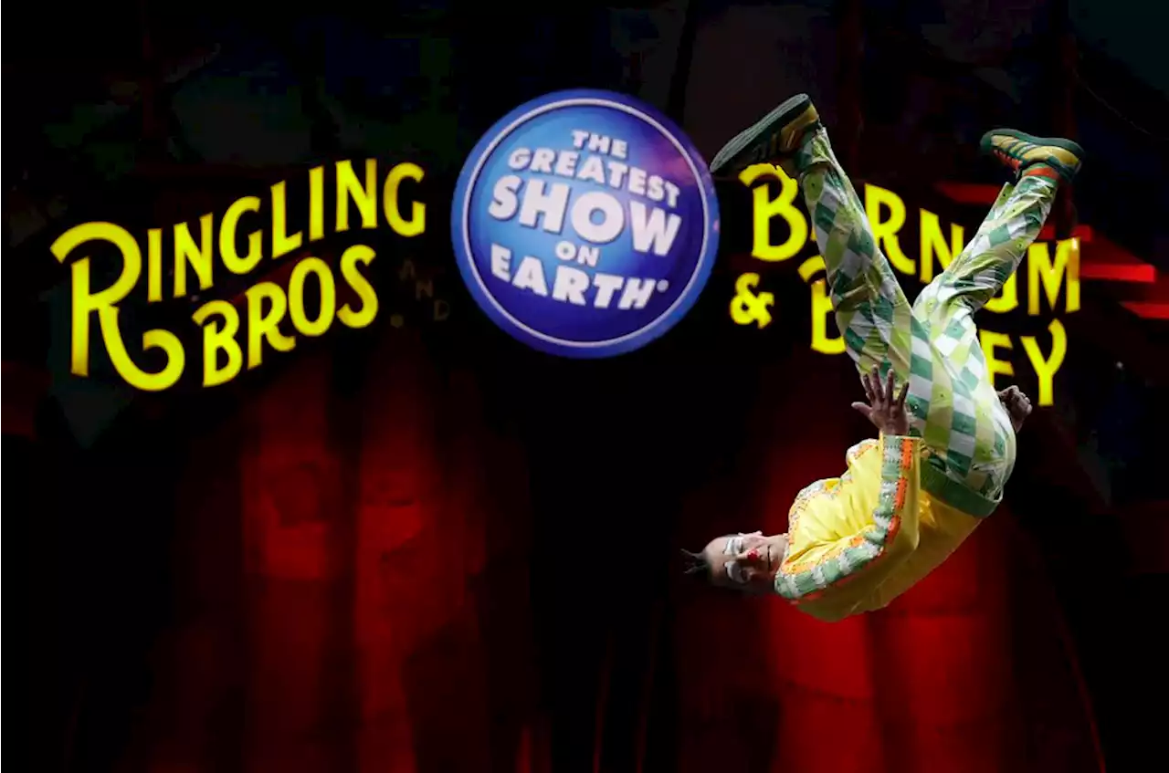 Ringling Bros. announces comeback tour without animal acts