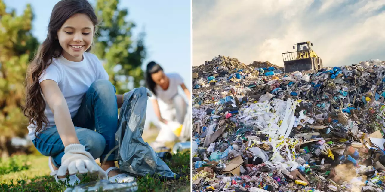 Asociación de recicladores de Bogotá apuesta por la comercialización de “la madera plástica”