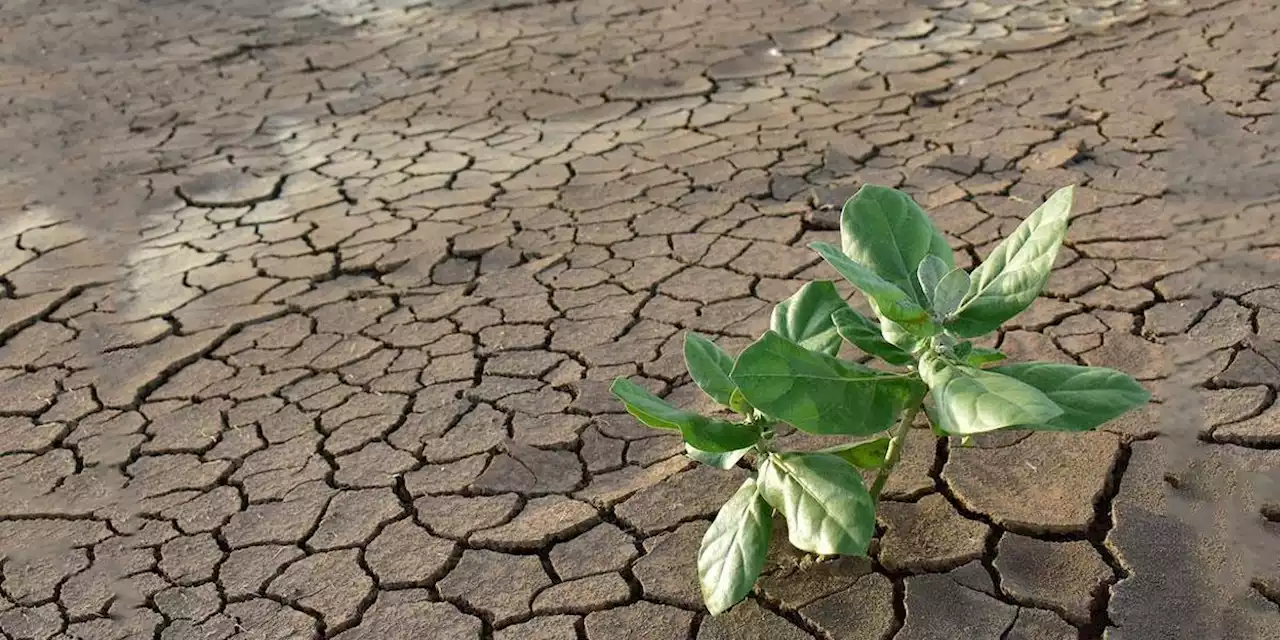 Cuatro indicadores fundamentales del cambio climático batieron récords en 2021, según la ONU