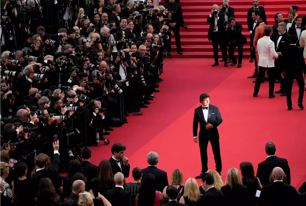 Festival von Cannes - Tom Cruise bekommt die Goldene Ehrenpalme