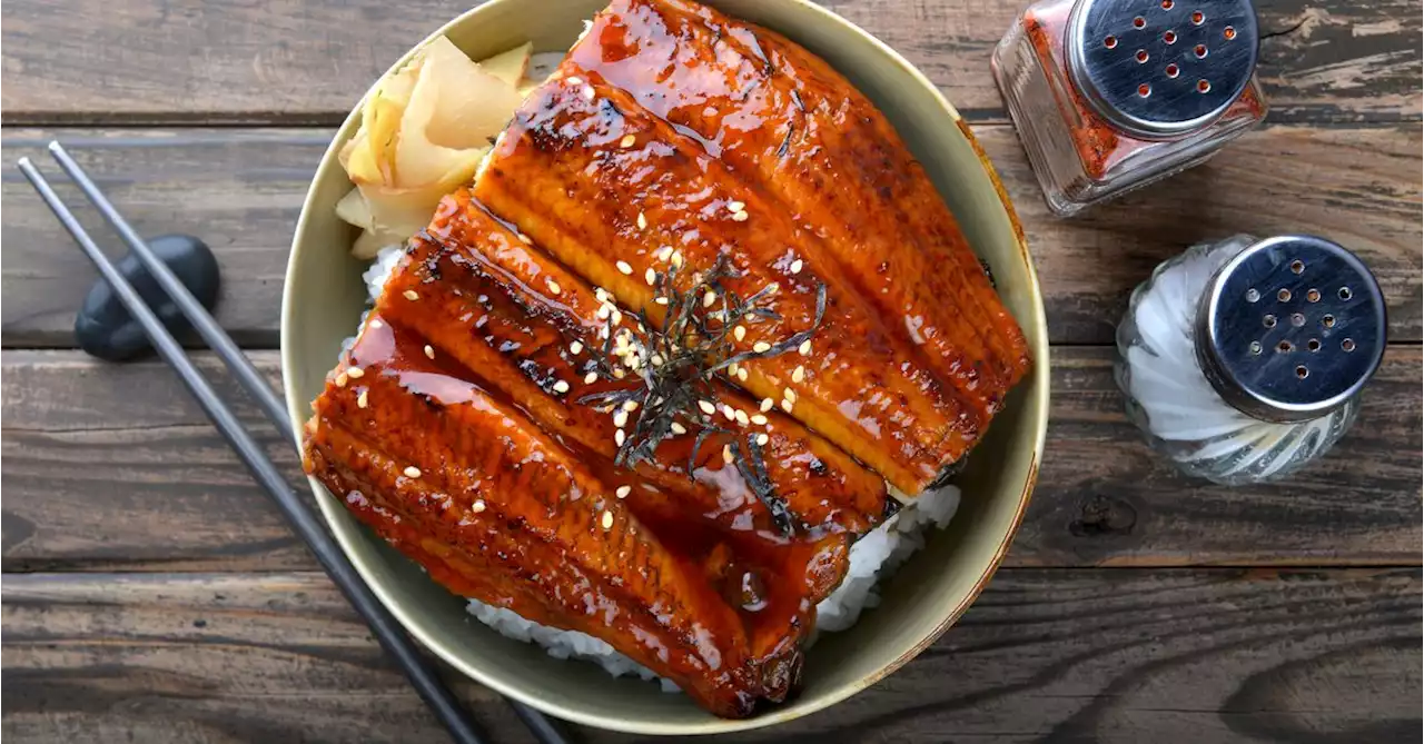 Can This Farm Change the Way Americans Buy and Eat Eel?