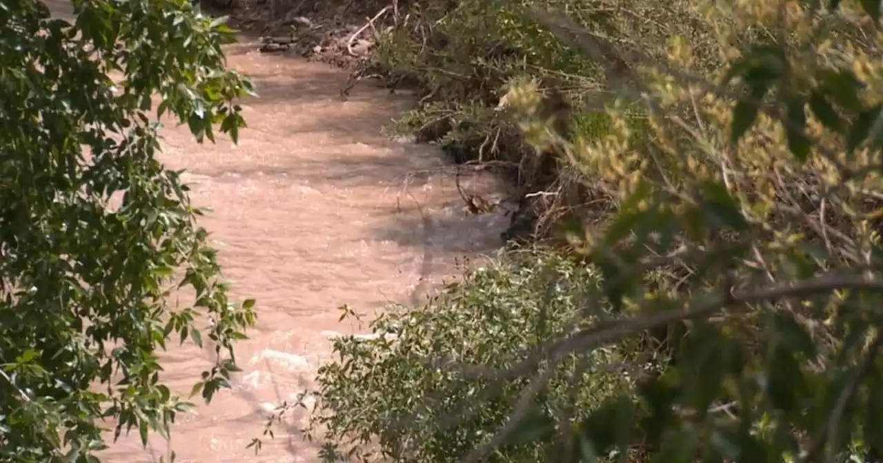 Teen rescues 4-year-old from Spanish Fork River