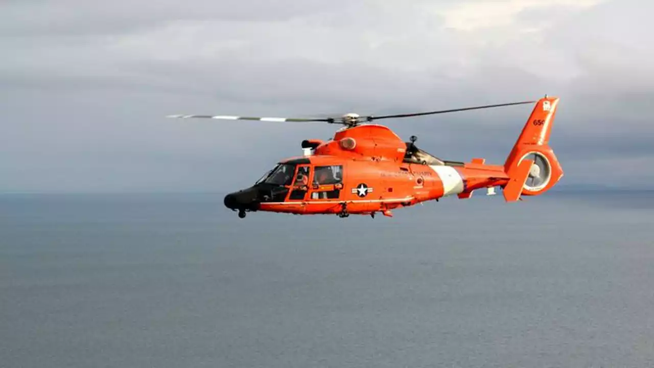 Coast Guard suspends search for woman who fell from cruise ship