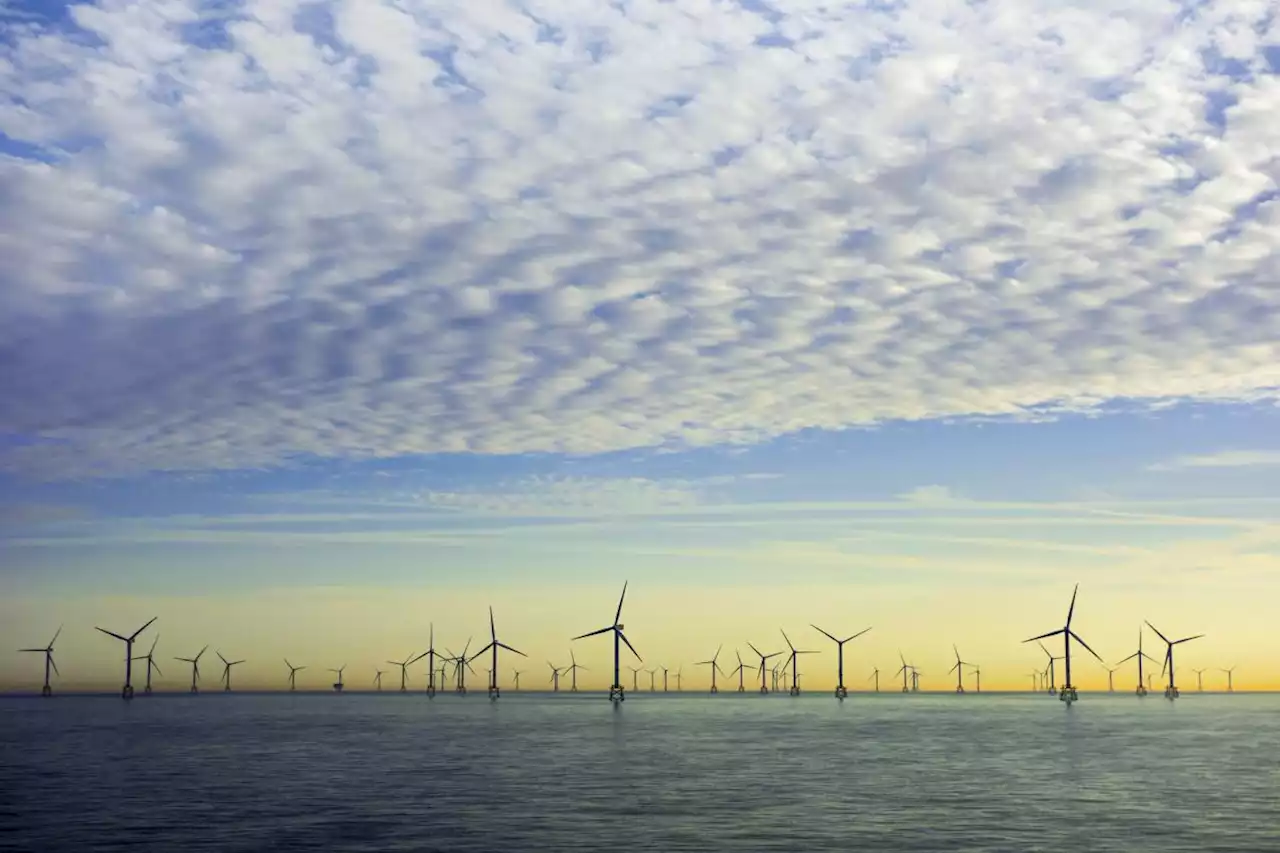 Noordzee moet één grote groene energiecentrale worden