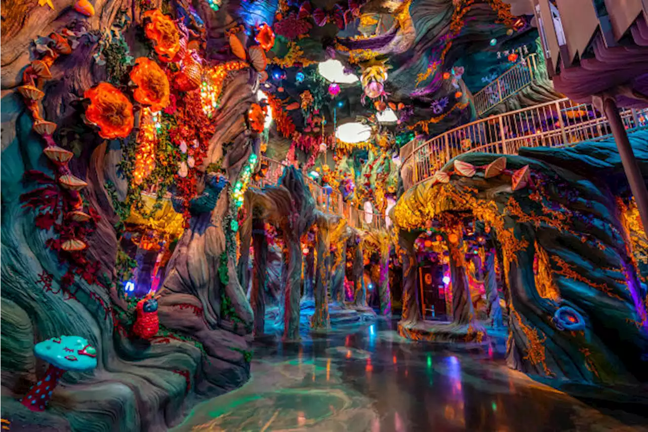 Texas is getting two permanent Meow Wolf interactive art installations