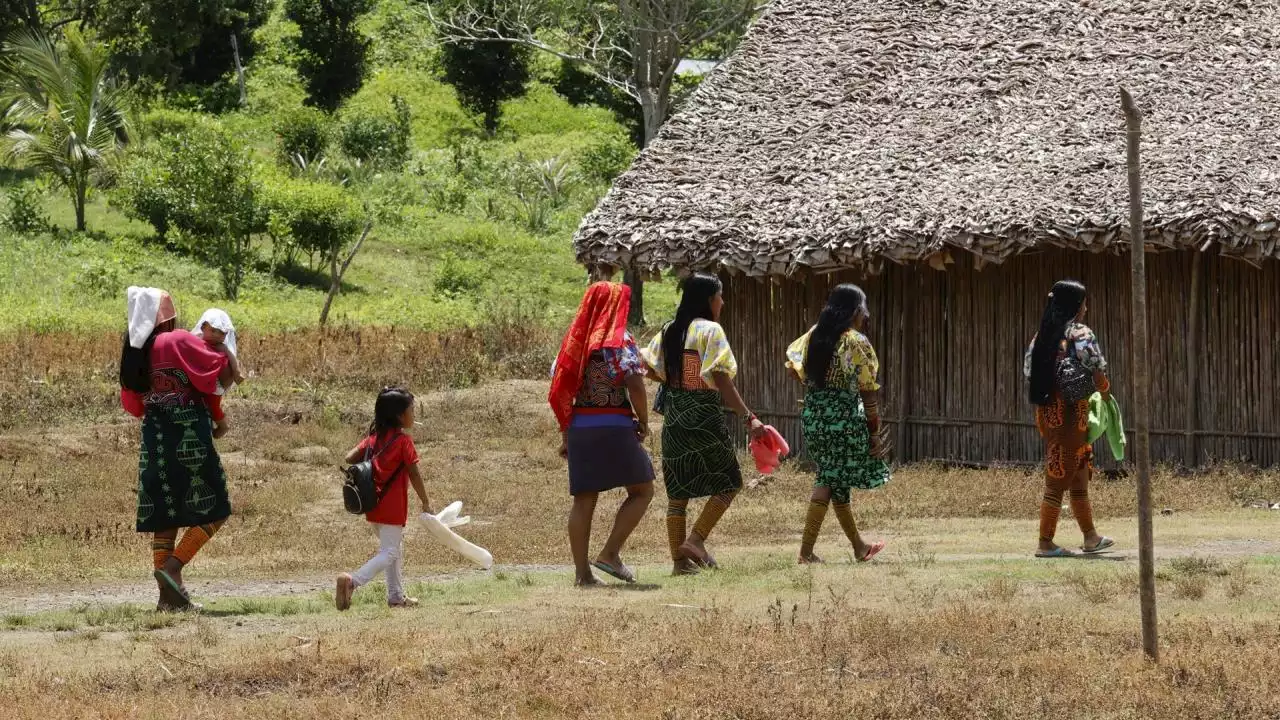 La lucha por la tierra, el conflicto perpetuo de Colombia | Minuto30.com