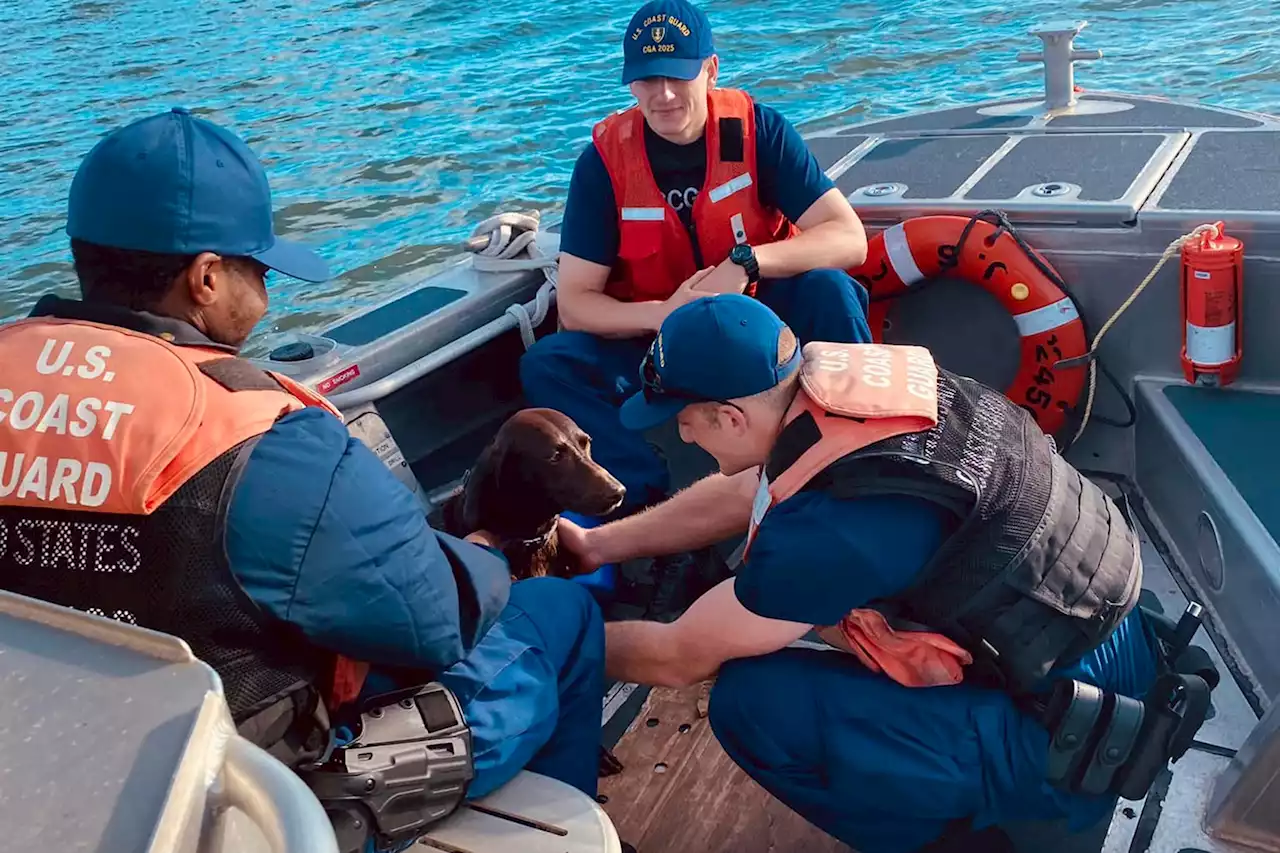 Coast Guard rescues dog that fell overboard off North Carolina coast