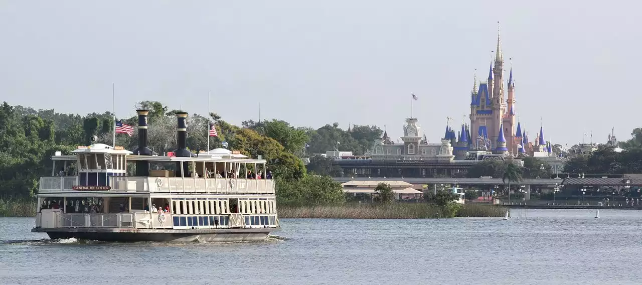 Wild gator spotted a few feet away from Disney Magic Kingdom guests