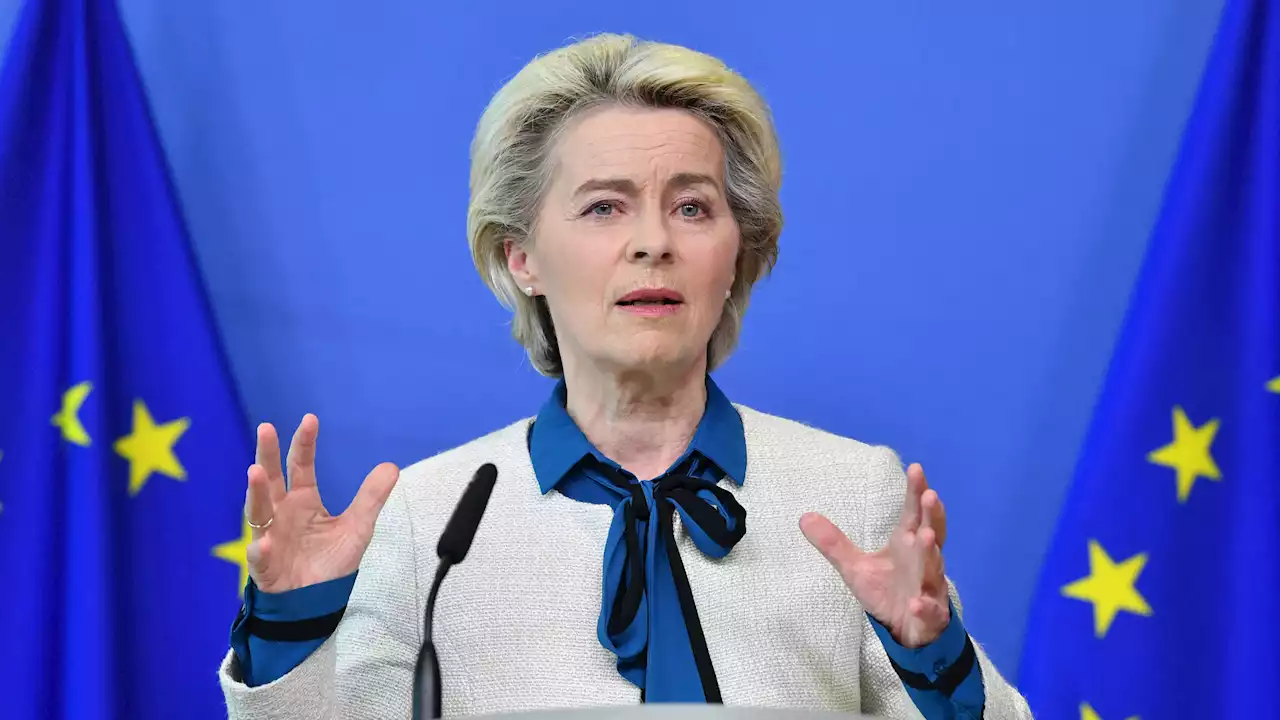 Ue, Von der Leyen: 'Ecco RepowerUe, il piano energetico congiunto per essere autonomi da Mosca'