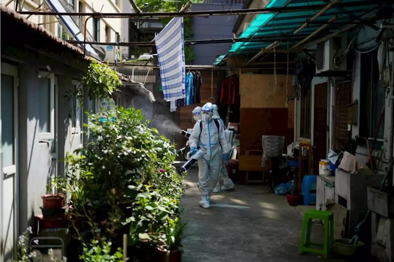 'Huge' pressure as Shanghai remains Covid-19-free and end to lockdown looms