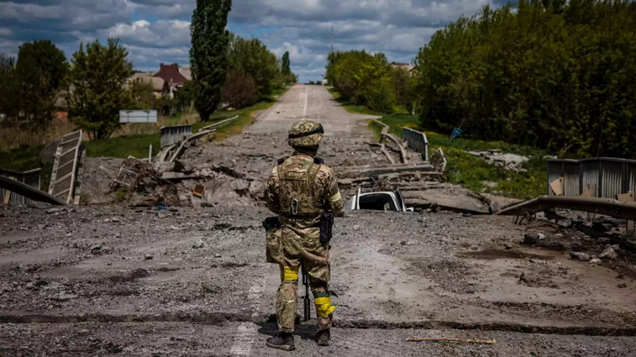 Ukraine: Was man über Verluste der Kriegsparteien weiß