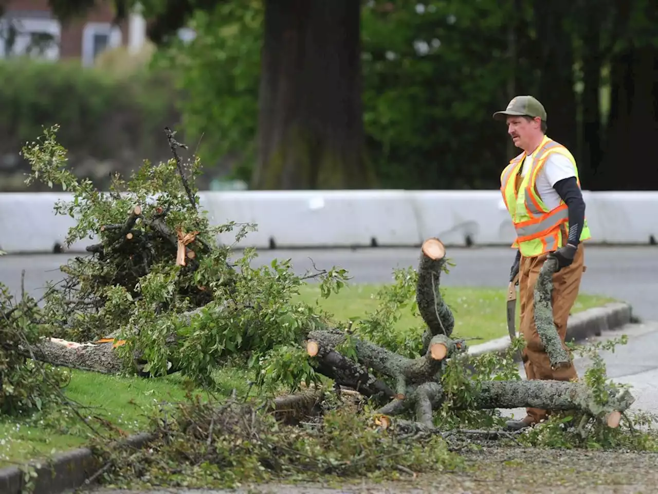 B.C. windstorm knocks out power to thousands on south coast