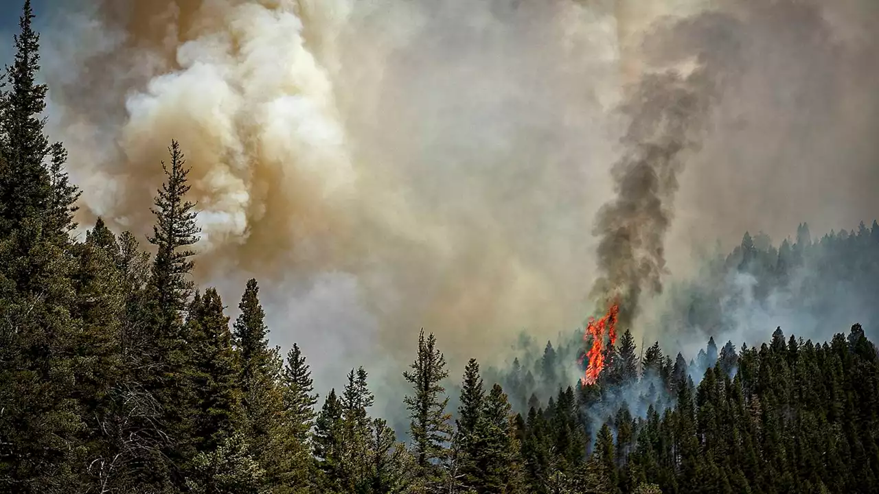 New Mexico fires prompt forest closures; governor seeks aid