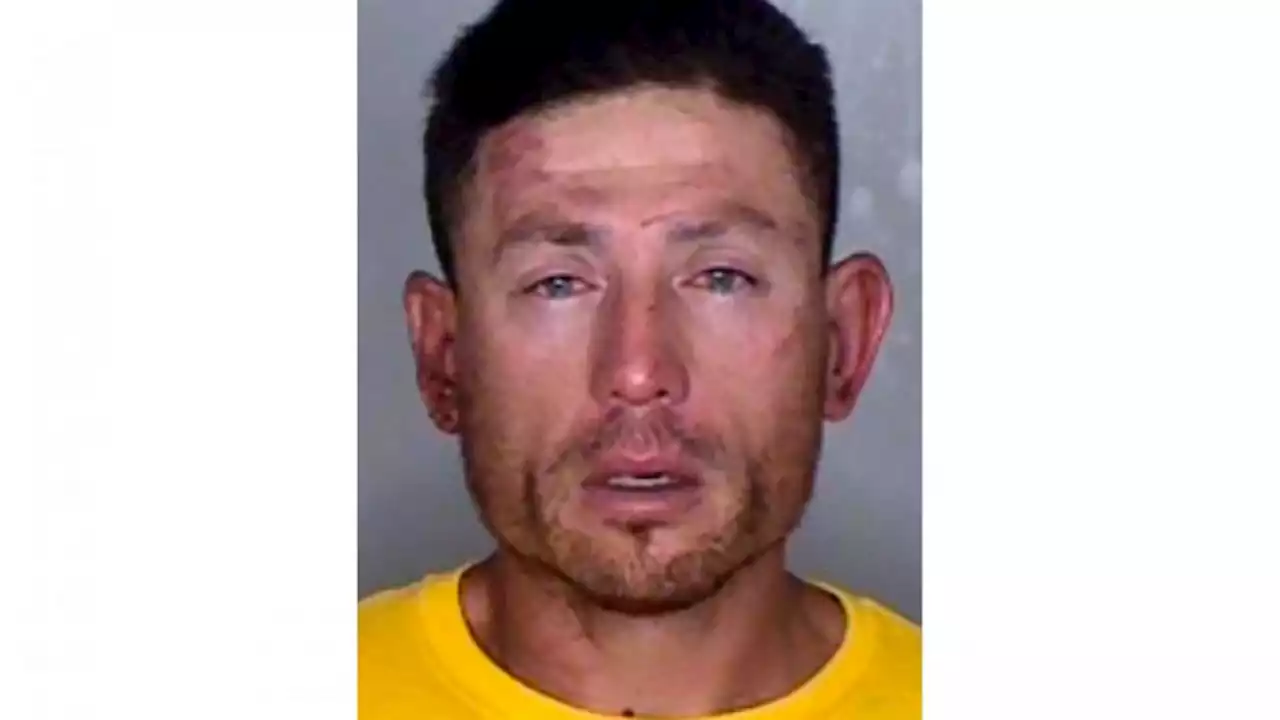 California tree trimmer guilty in deadly throat-slashings