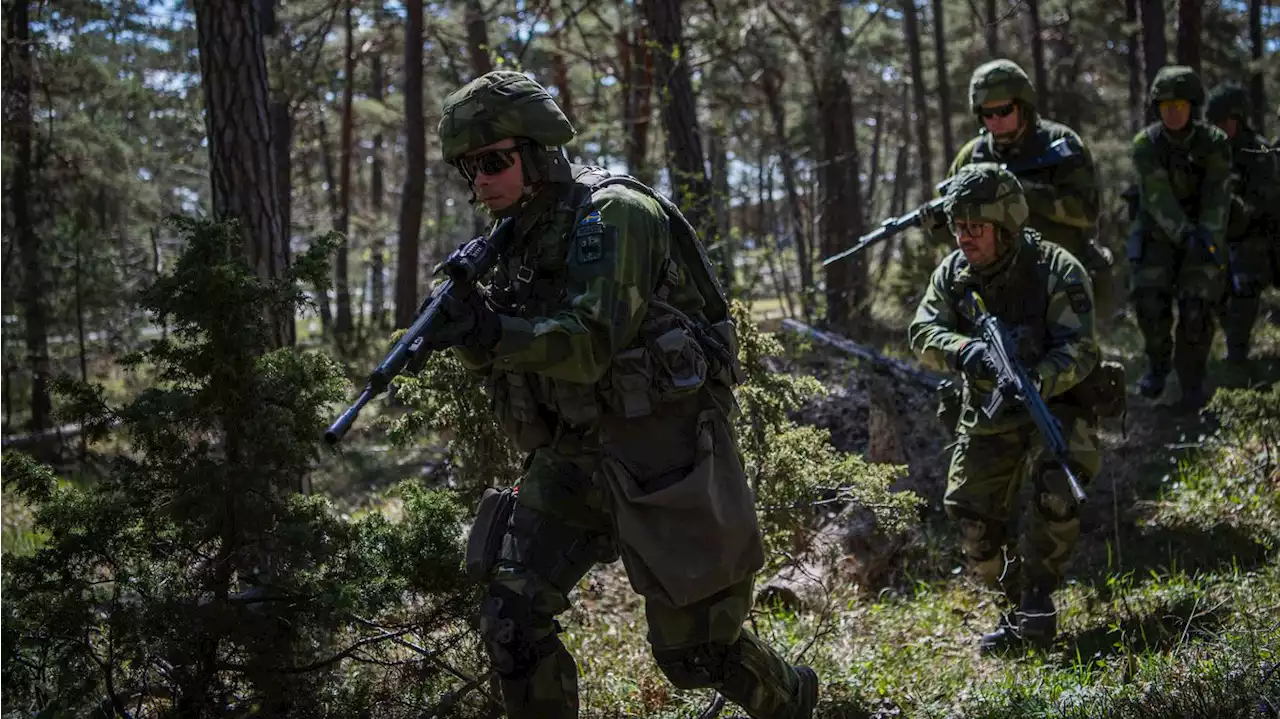 Finland and Sweden in NATO could bring mighty militaries to Russia’s front door