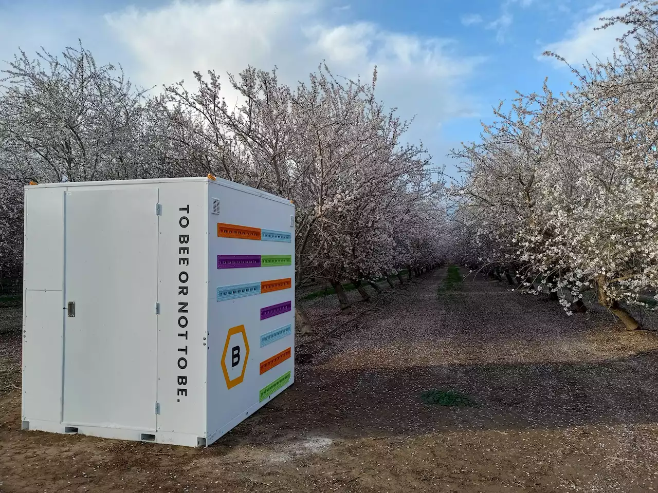 Robotic Beehive Using AI To Save The Bees And Global Food Supply