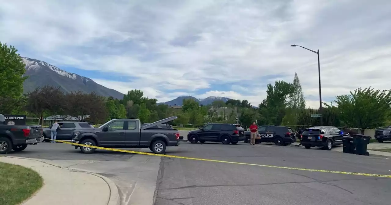 High School girl in hospital, ex-boyfriend killed in Springville 'apparent murder-suicide'