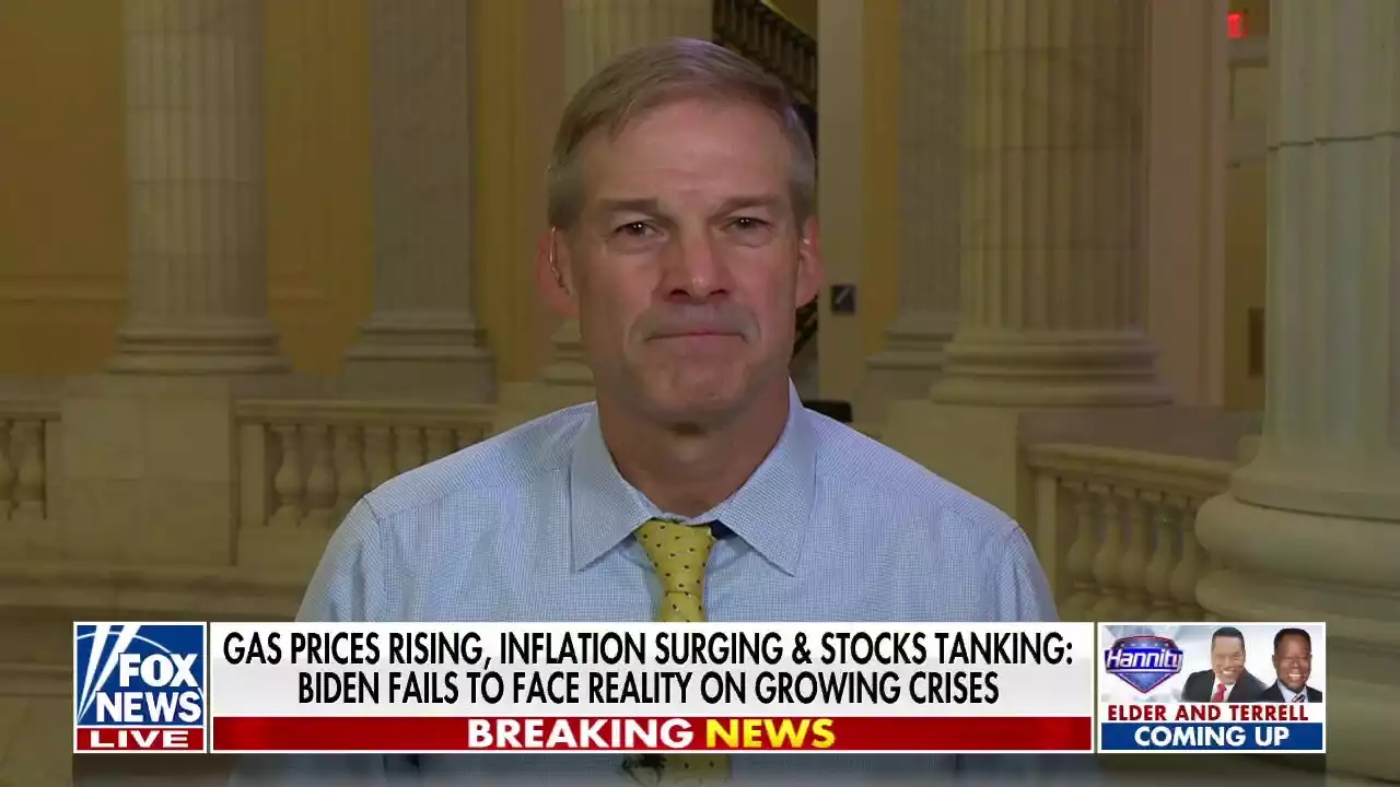 Rep. Jim Jordan calls Trump endorsement 'most powerful' endorsement in US history