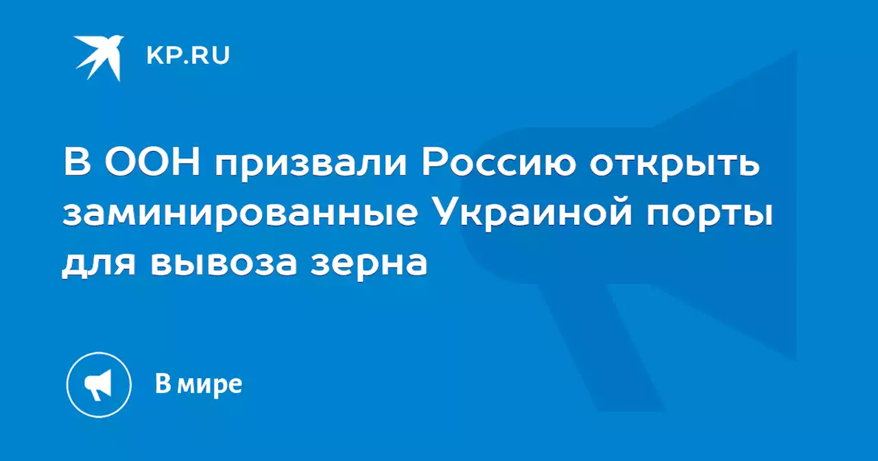 В ООН призвали Россию открыть заминированные Украиной порты для вывоза зерна