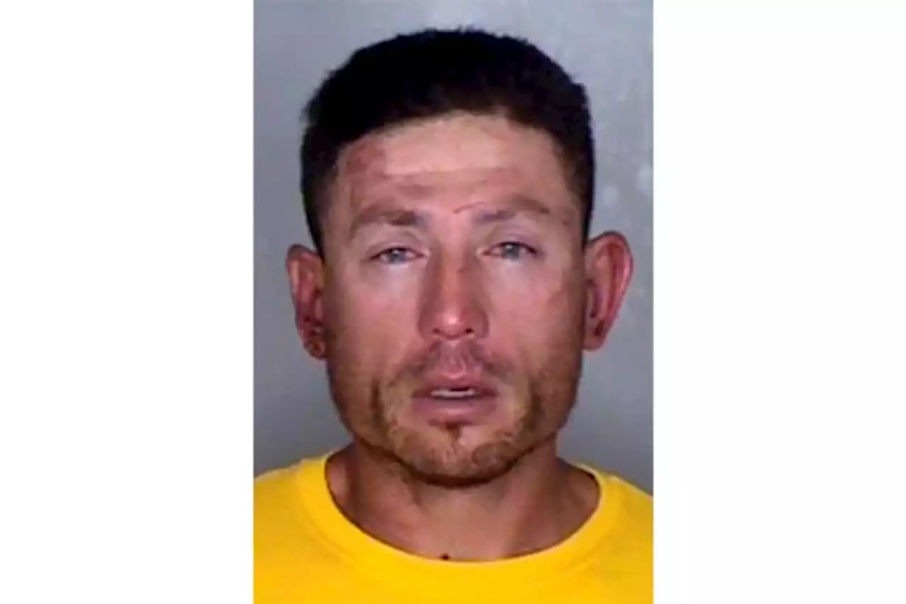 California tree trimmer guilty in deadly throat-slashings