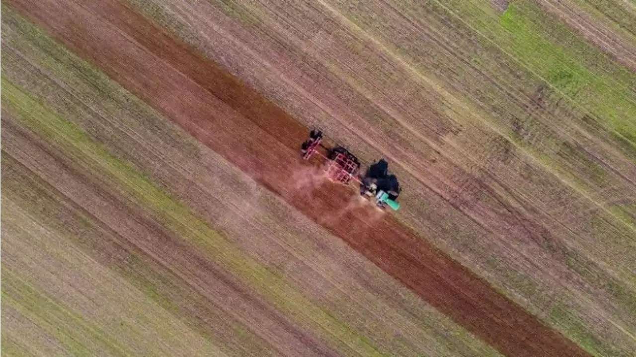 Bund stoppt Verkauf von Ackerflächen im Osten