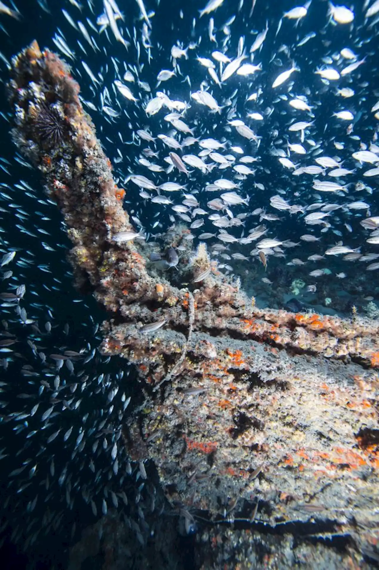 Valor in the Atlantic 2022: Return to USS Monitor Will Stream Live