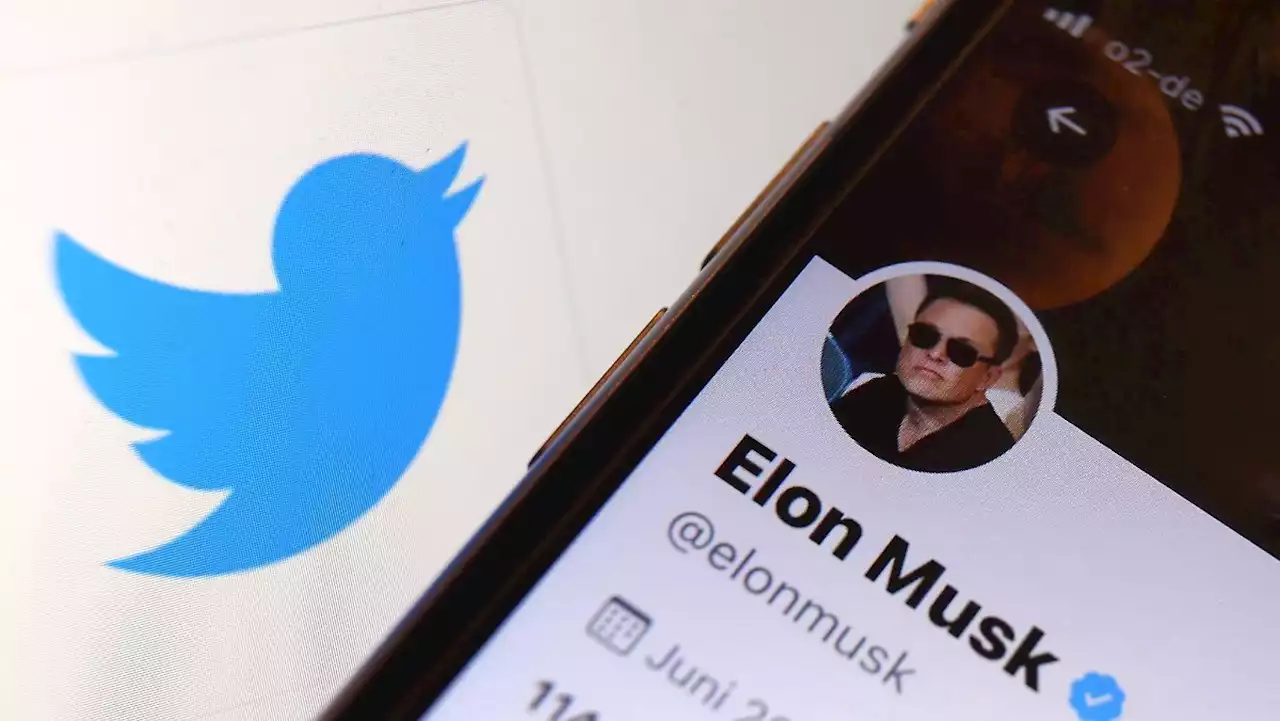 Tweets kosten Musk 12 Milliarden Dollar