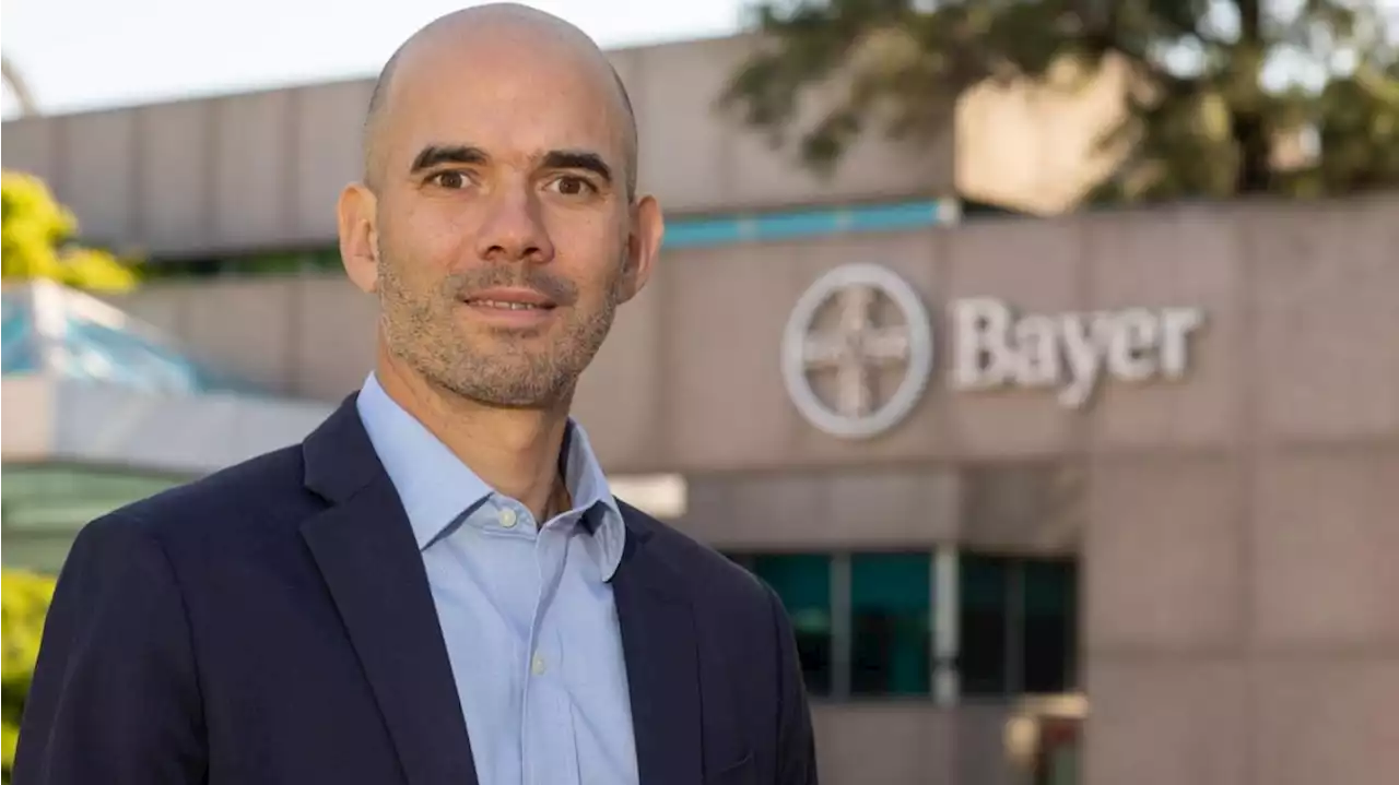 'Las semillas de maíz serán una limitante esta campaña' adelanta el CEO de Bayer