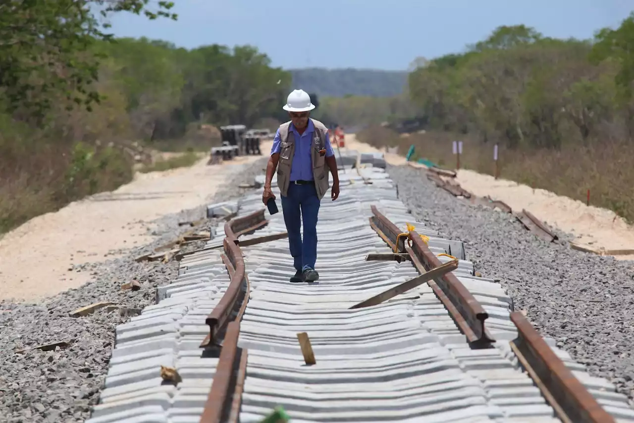 Presentan evaluación sobre impacto ambiental para el polémico Tramo 5 del Tren Maya