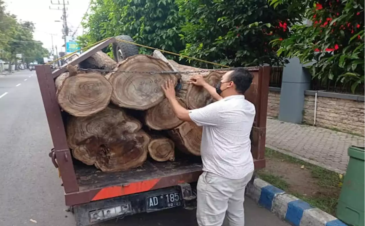 2 Pelaku Pembalakan Liar Hutan di Ponorogo Ditangkap, 3 Pelaku Diburu