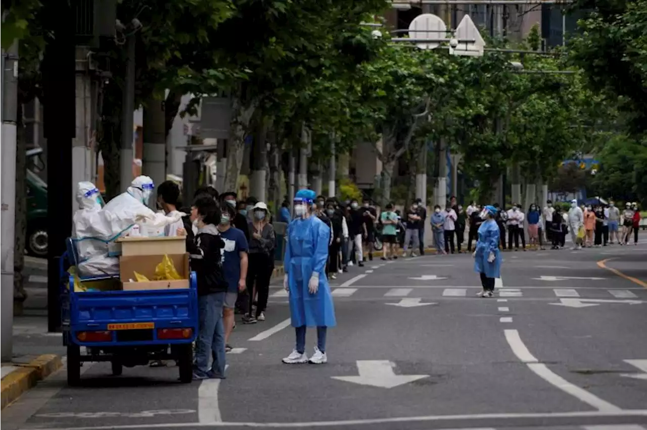 Fatigue sets in as China's zero-Covid policy grinds on