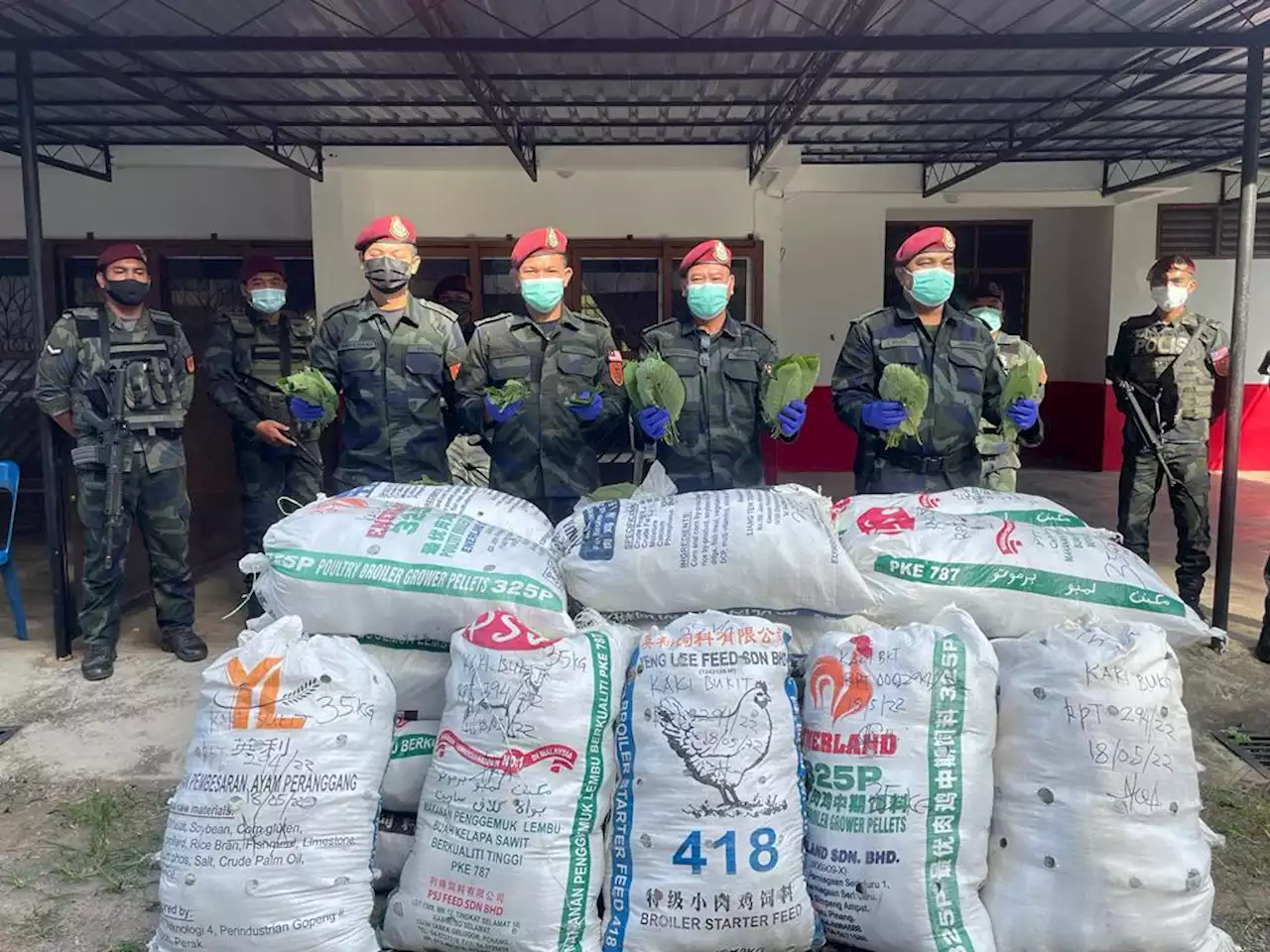 Wang Kelian ‘panas’ aktiviti seludup ketum