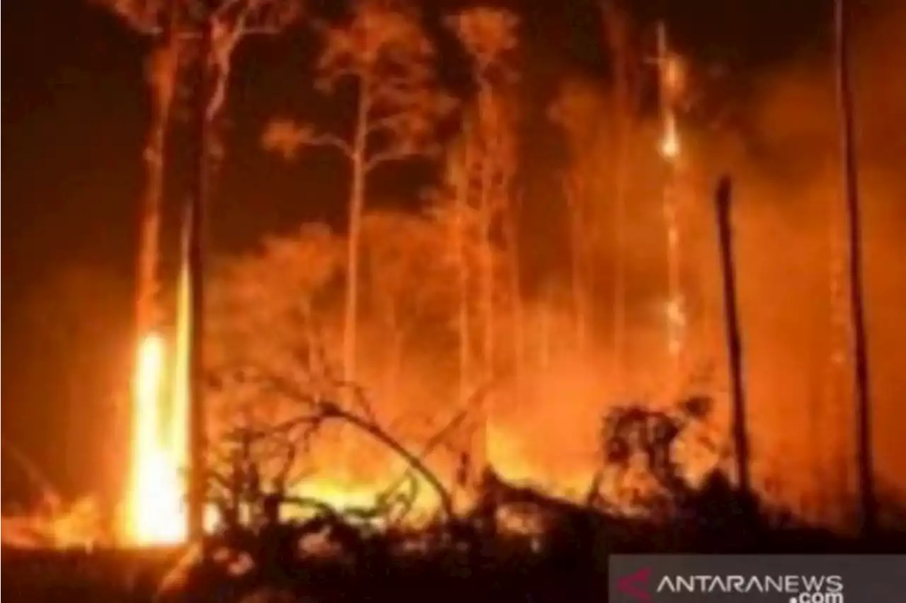 BMKG keluarkan peringatan dini kebakaran hutan-lahan di NTT