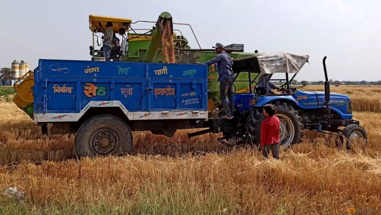 After five record crops, heat wave threatens India's wheat output, export plans