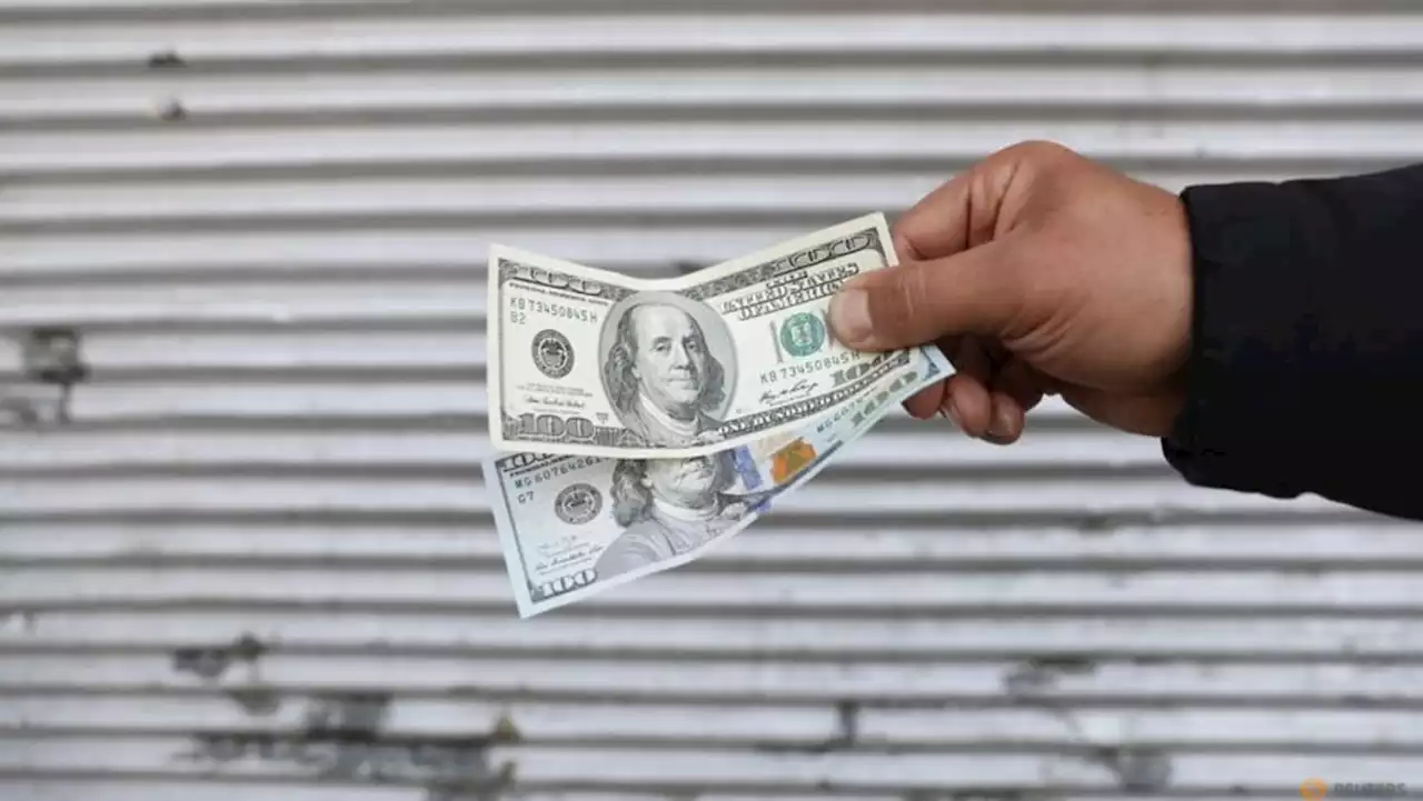 Dollar rises towards 20-year high, euro dips after weak data