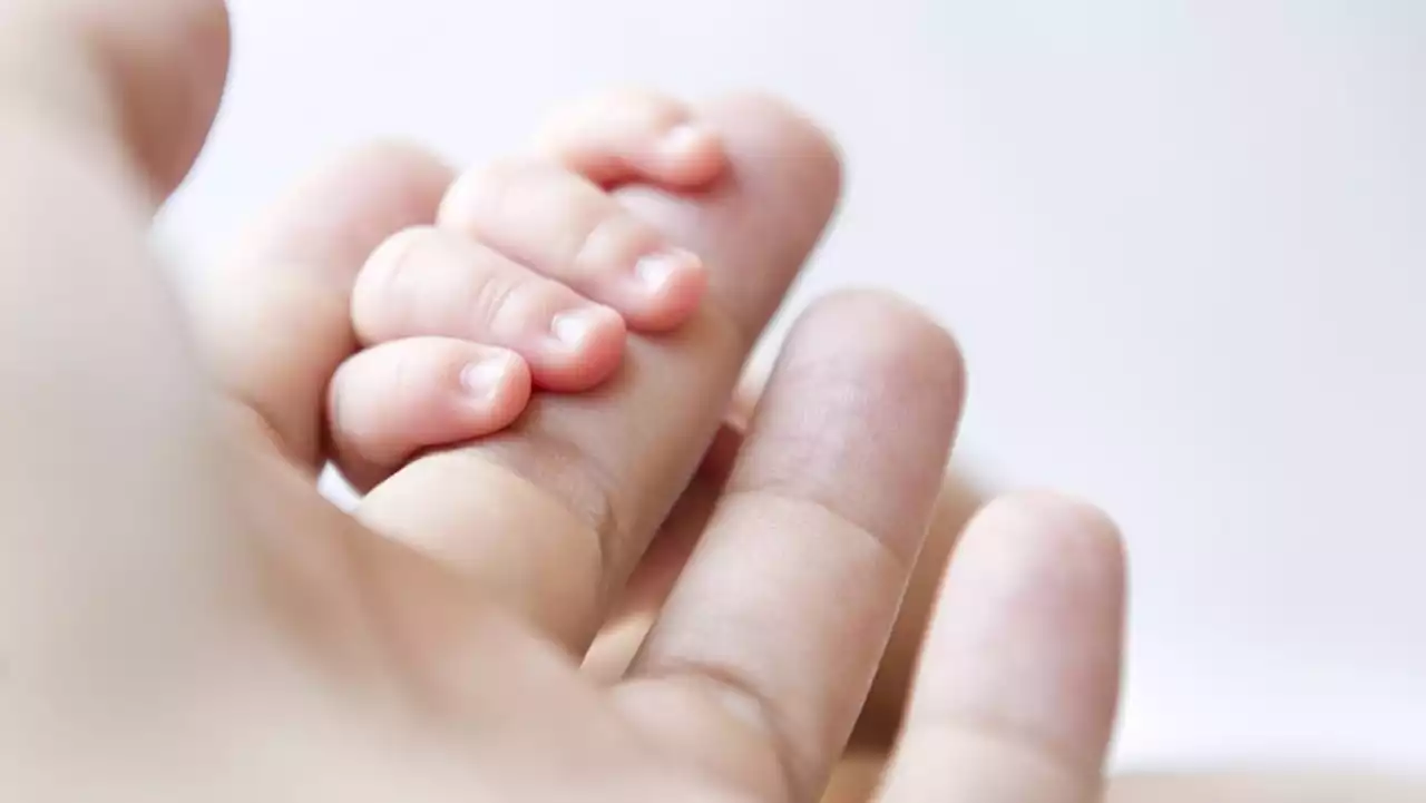 'Most tragic experience of our lives': Adoptive parents welcome changes to plug gaps in adoption laws