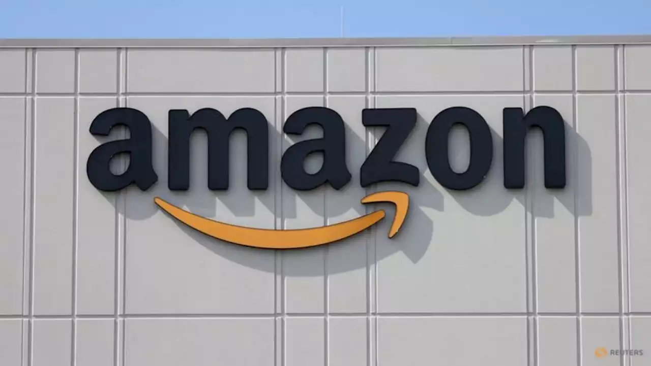 US Senate Budget Committee to hold hearing on Amazon