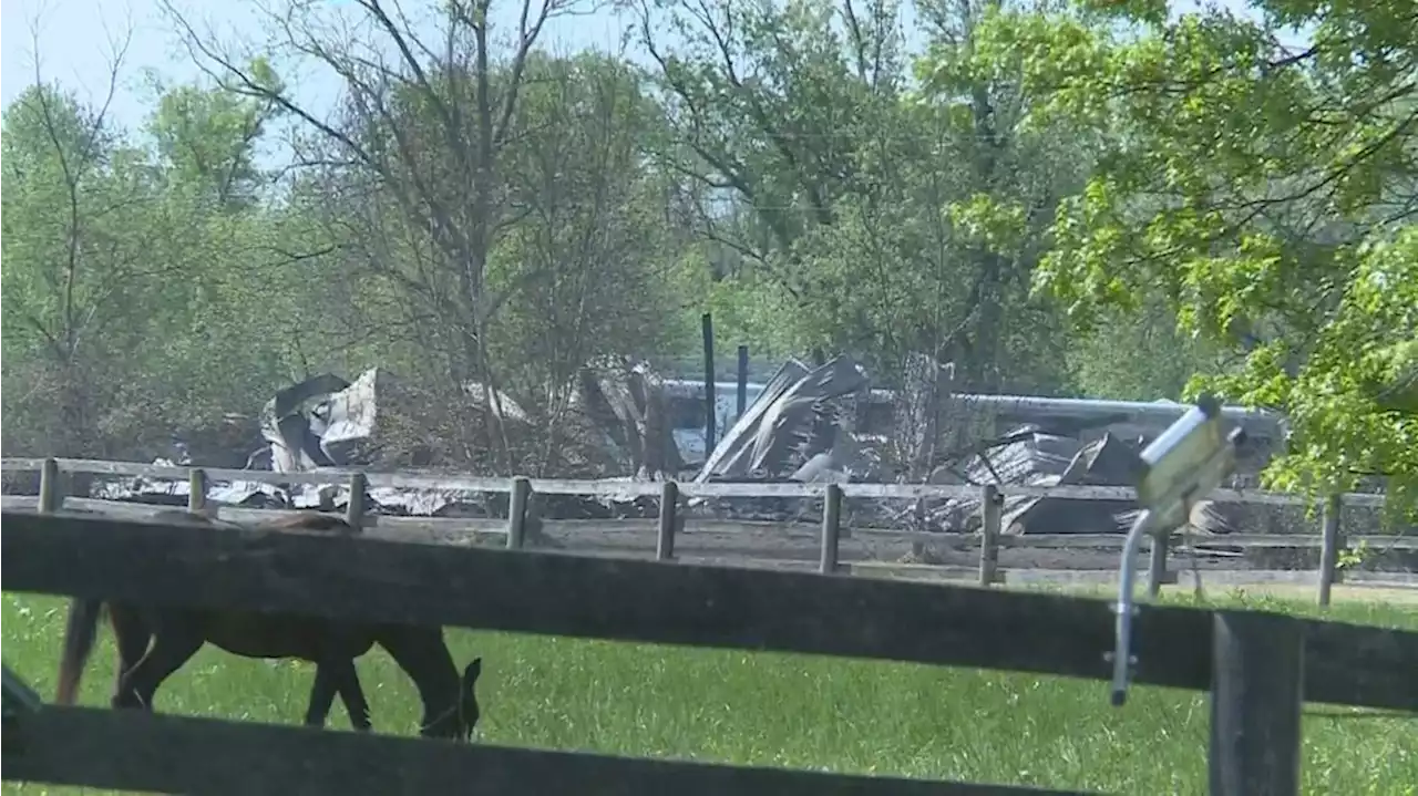 At least 20 horses killed in Kentucky barn fire