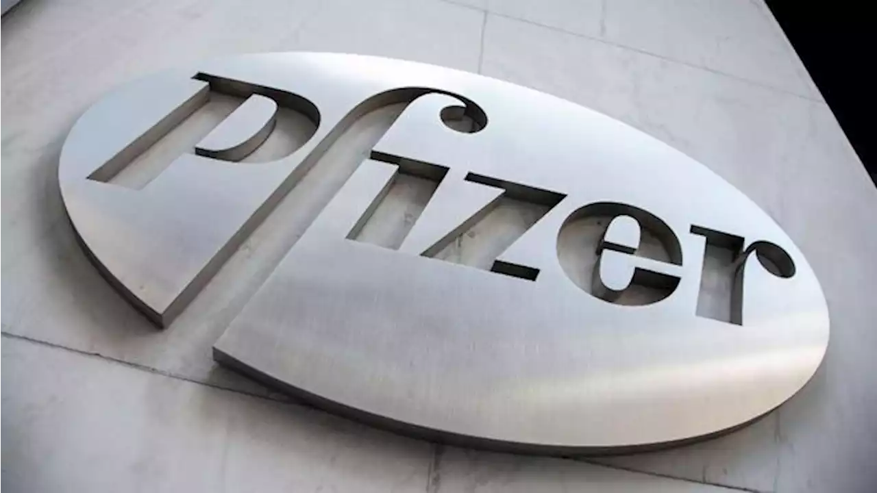 Duh! Pfizer Akui Obat Covid Buatannya Tak Ampuh Cegah Infeksi