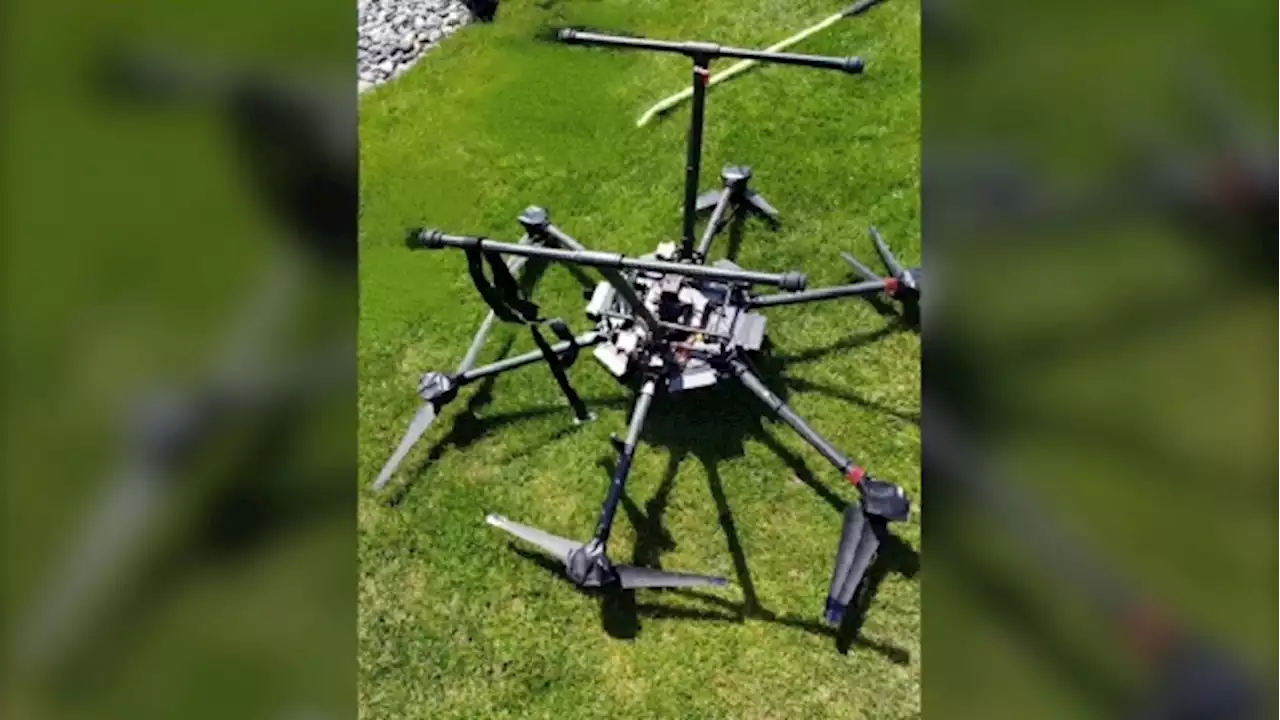 Drone carrying guns found stuck in tree in Ontario, close to U.S. border