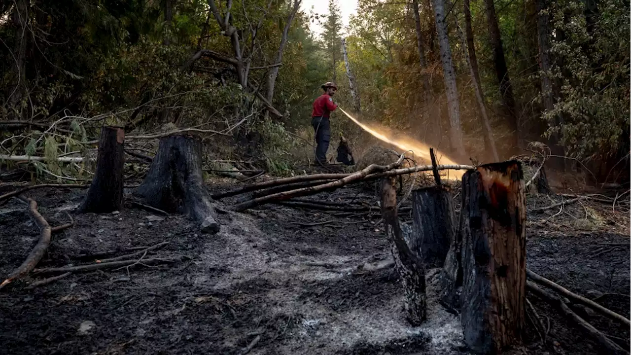 Indigenous-led stewardship could help Canada tackle wildfire seasons, B.C. research suggests