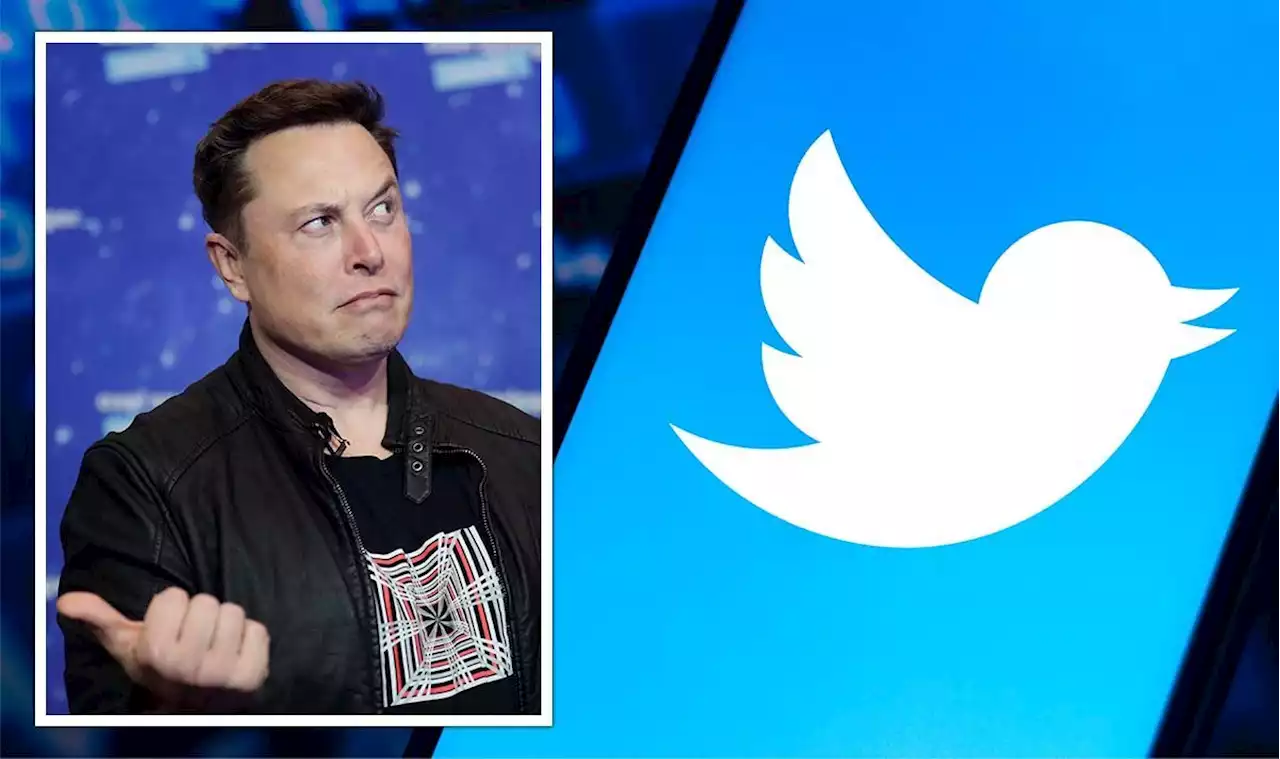 Elon Musk’s Twitter needs ‘sophisticated, nuanced’ AI to combat hate speech, expert warns