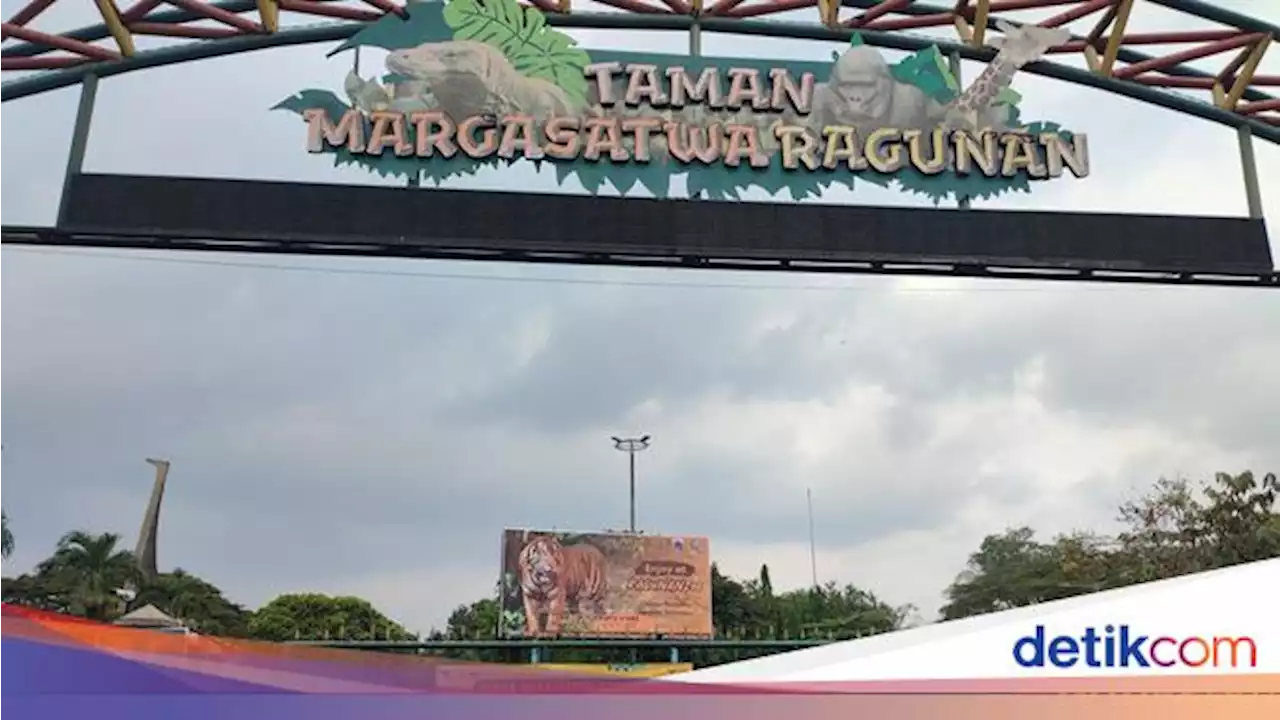 Tiket Masuk Kebun Binatang Ragunan, Info Harga dan Cara Membelinya