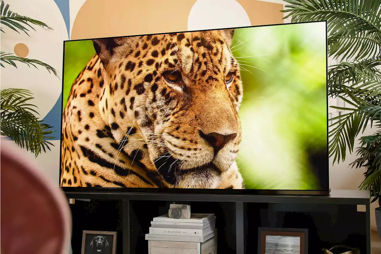 Sony prices its 2022 A95K QD-OLED TV starting at $3,000 | Digital Trends