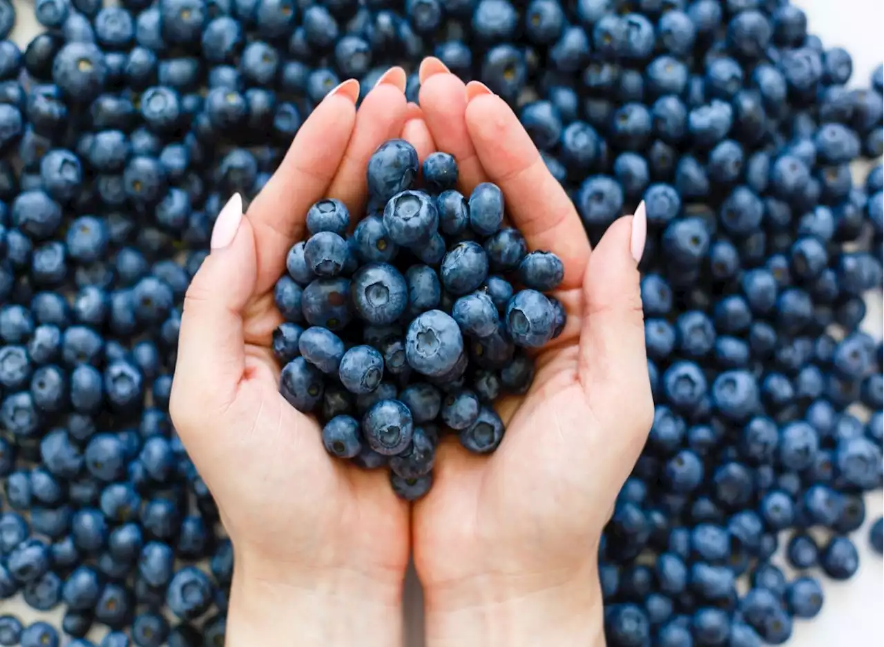 Secret Effects of Eating Blueberries, Says Science — Eat This Not That